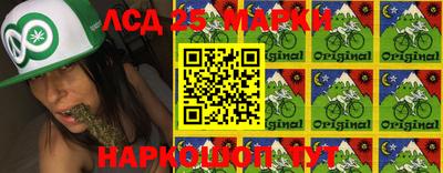 дмт Новодвинск